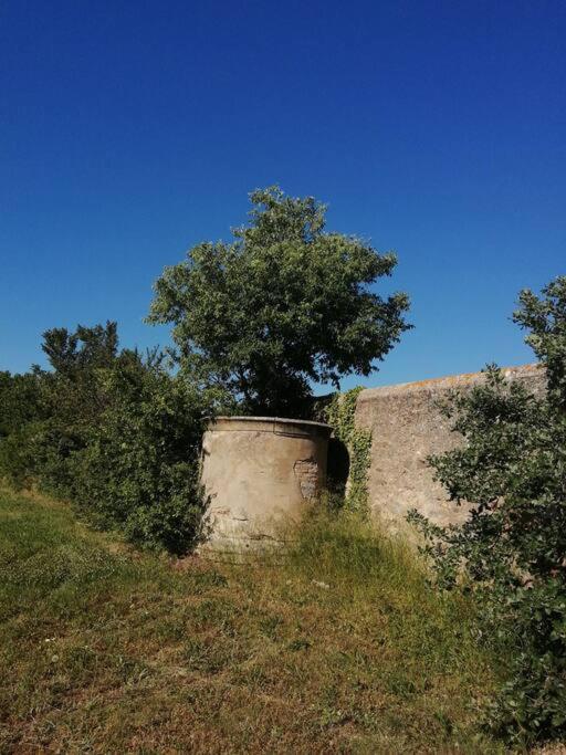 Le Soleil D Eugenie Appartement Dans Residence Avec Piscine Commune Pres De Carcassonne Olonzac Extérieur photo