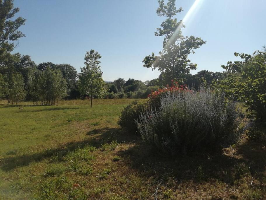 Le Soleil D Eugenie Appartement Dans Residence Avec Piscine Commune Pres De Carcassonne Olonzac Extérieur photo