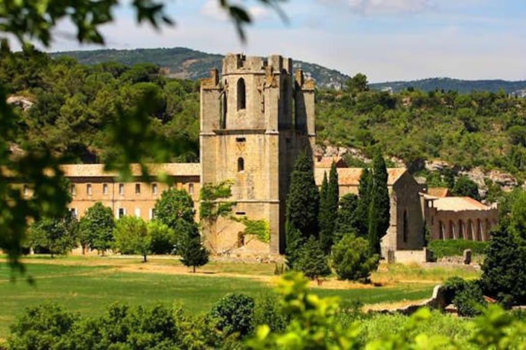 Le Soleil D Eugenie Appartement Dans Residence Avec Piscine Commune Pres De Carcassonne Olonzac Extérieur photo