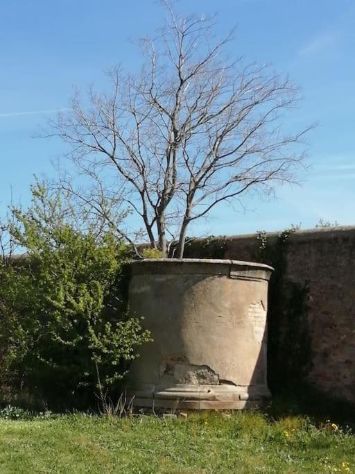 Le Soleil D Eugenie Appartement Dans Residence Avec Piscine Commune Pres De Carcassonne Olonzac Extérieur photo