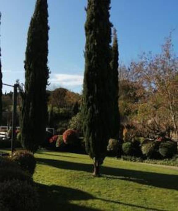 Le Soleil D Eugenie Appartement Dans Residence Avec Piscine Commune Pres De Carcassonne Olonzac Extérieur photo