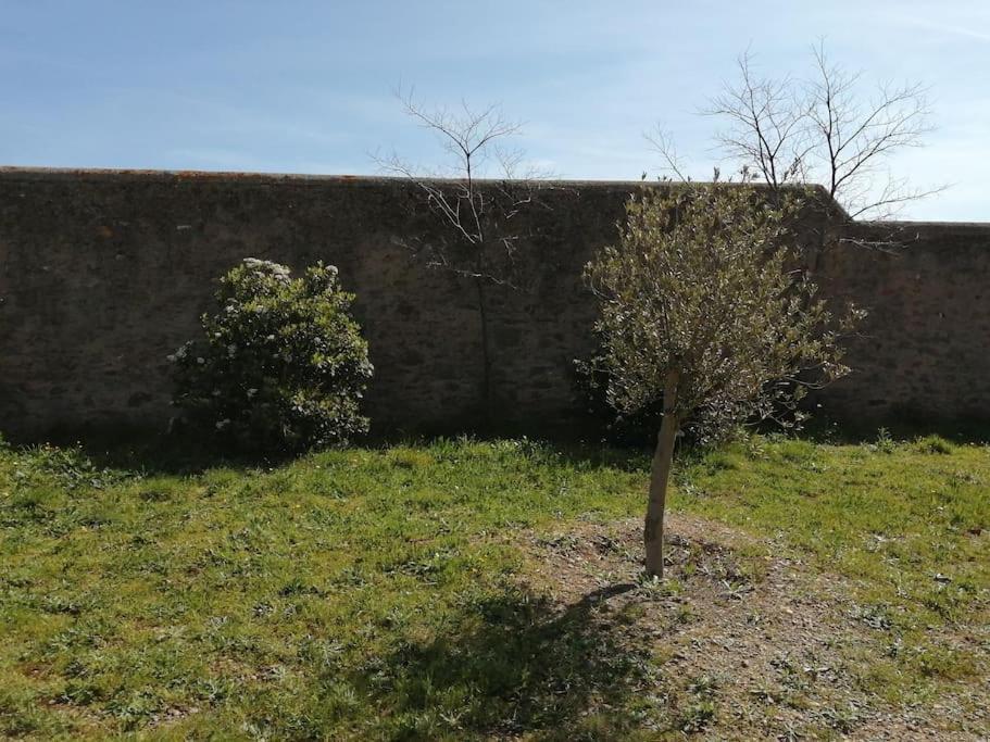 Le Soleil D Eugenie Appartement Dans Residence Avec Piscine Commune Pres De Carcassonne Olonzac Extérieur photo